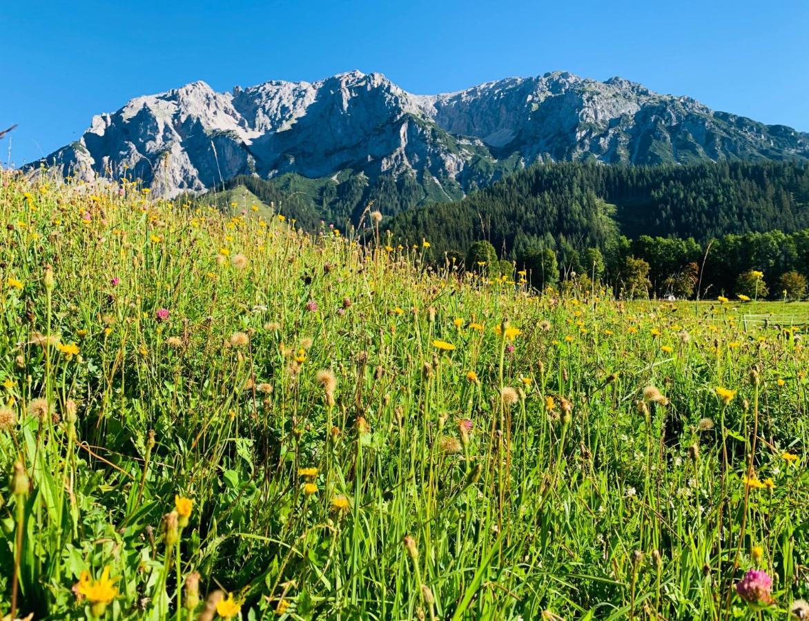 Bergkristallhaus Ramsau am Dachstein Bagian luar foto