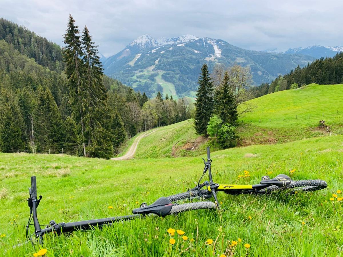 Bergkristallhaus Ramsau am Dachstein Bagian luar foto