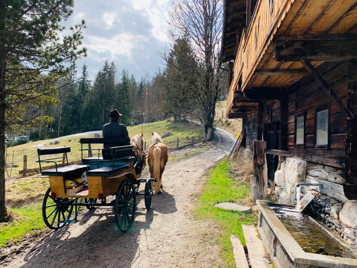 Bergkristallhaus Ramsau am Dachstein Bagian luar foto